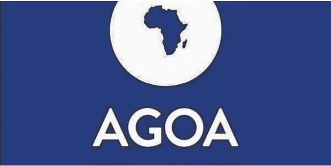 agoa_kaddu_diaspora_media_afrique_international.jpg?w=677