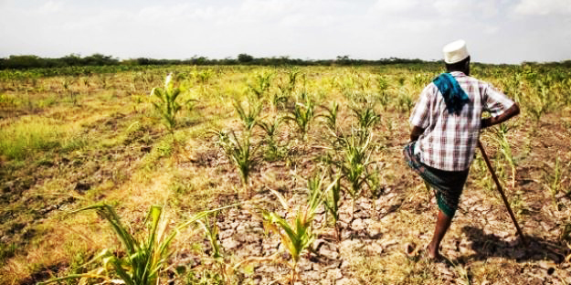 guerre-ukraine_alimentation_afrique_kdmedia.jpg?w=625